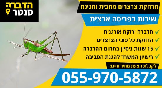 הדברת צרצרים