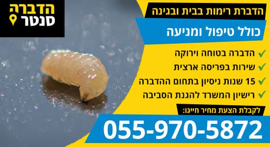 הדברת רימות