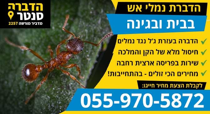 הדברת נמלי אש בבית ובגינה