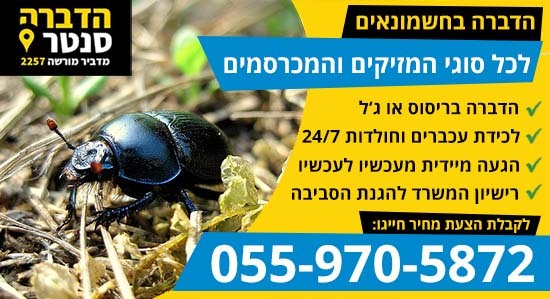 הדברה בחשמונאים עם מדביר מורשה