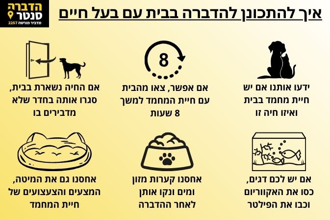 ריסוס בבית עם בעלי חיים