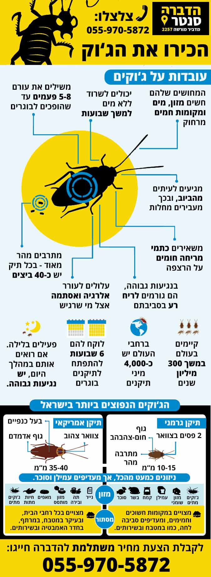 עובדות על ג'וקים