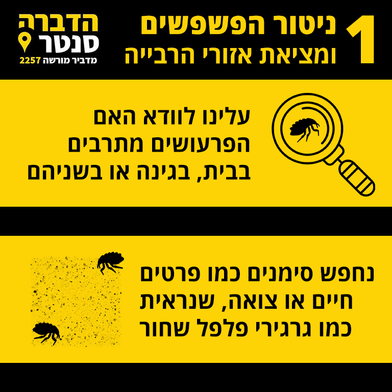 שלב 1 ניטור