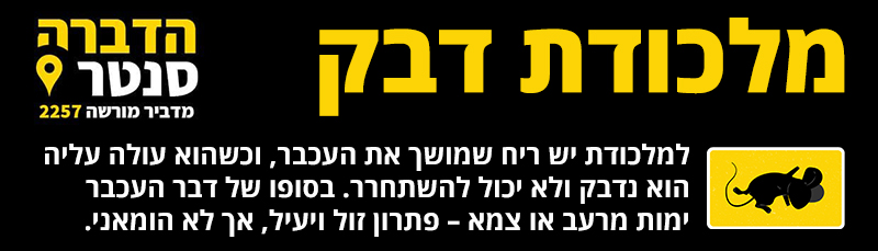 מלכודת דבק