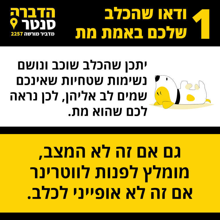 שלב 1 ודאו שהכלב שלכם באמת מת