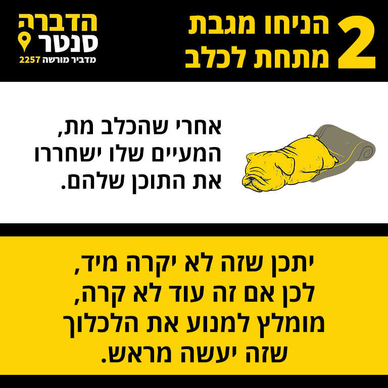 שלב 2 הניחו מגבת מתחת לכלב