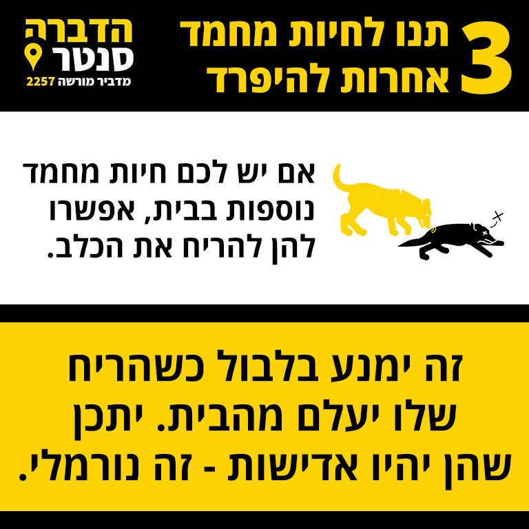 שלב 3 תנו לחיות מחמד אחרות להיפרד