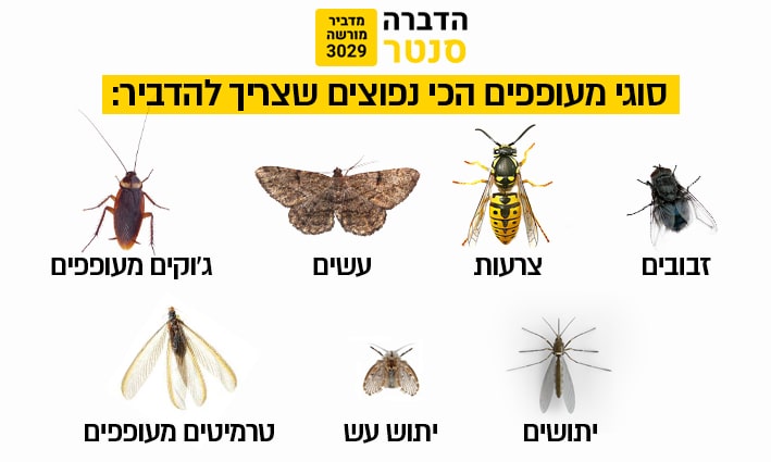 סוגי מעופפים בבית