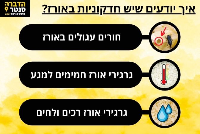 איך מזהים את חדקונית האורז