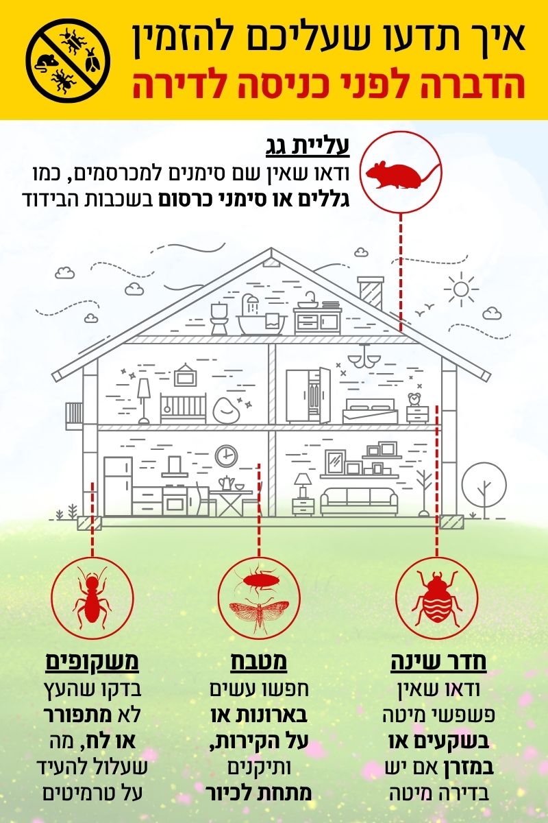 מתי להזמין הדברה לפני כניסה לדירה