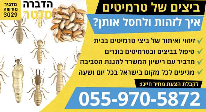 ביצי טרמיטים