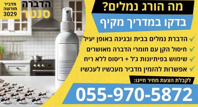 מה הורג נמלים