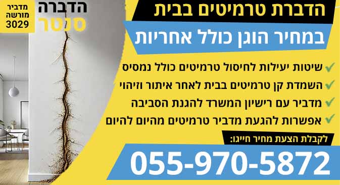 טרמיטים בבית