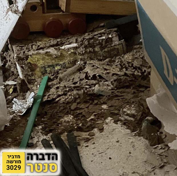 עץ נגוע בטרמיטים