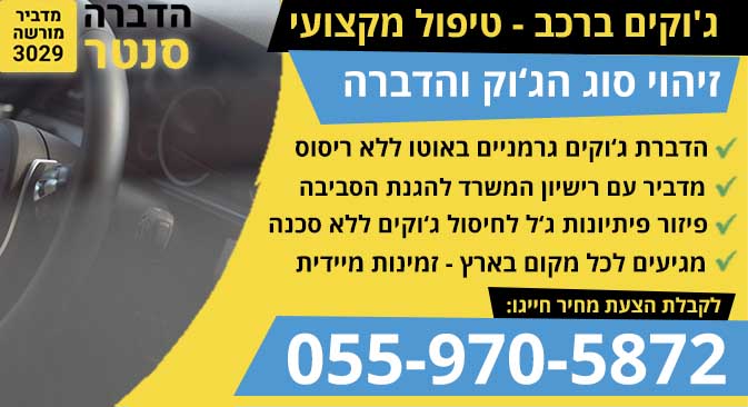 ג'וקים ברכב
