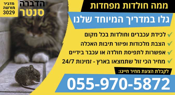 ממה חולדות מפחדות