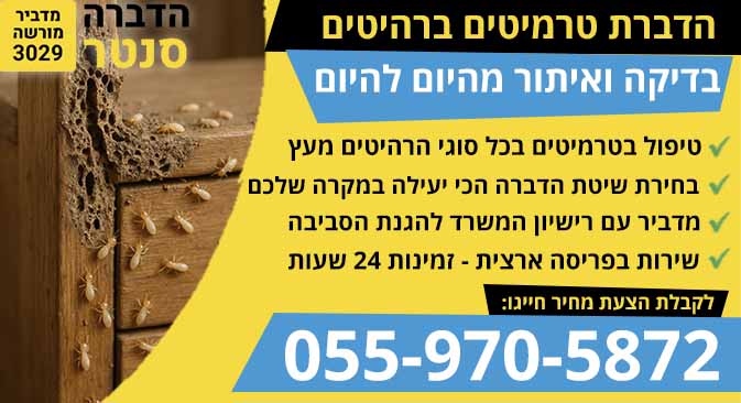 טרמיטים ברהיטים