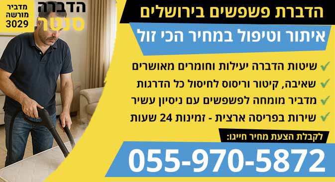 הדברת פשפשים בירושלים