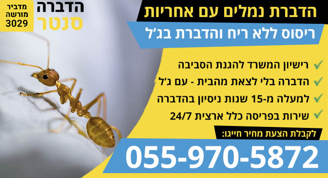 ריסוס נגד נמלים