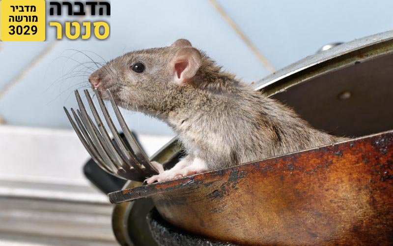 борьба с крысами и мышами