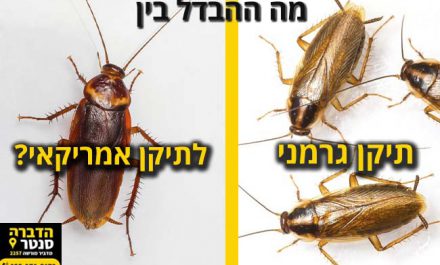 תיקן גרמני או אמריקאי